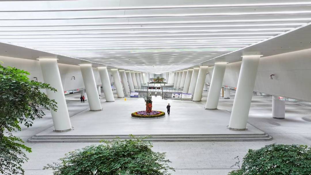 1708481752669842.jpg 1707386283630739.jpg